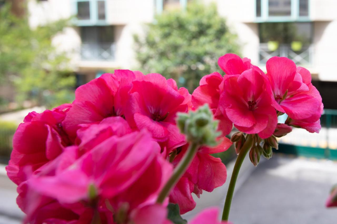 Boutique Apartment La Lavande Free Parking 10 Min Walk Ницца Экстерьер фото